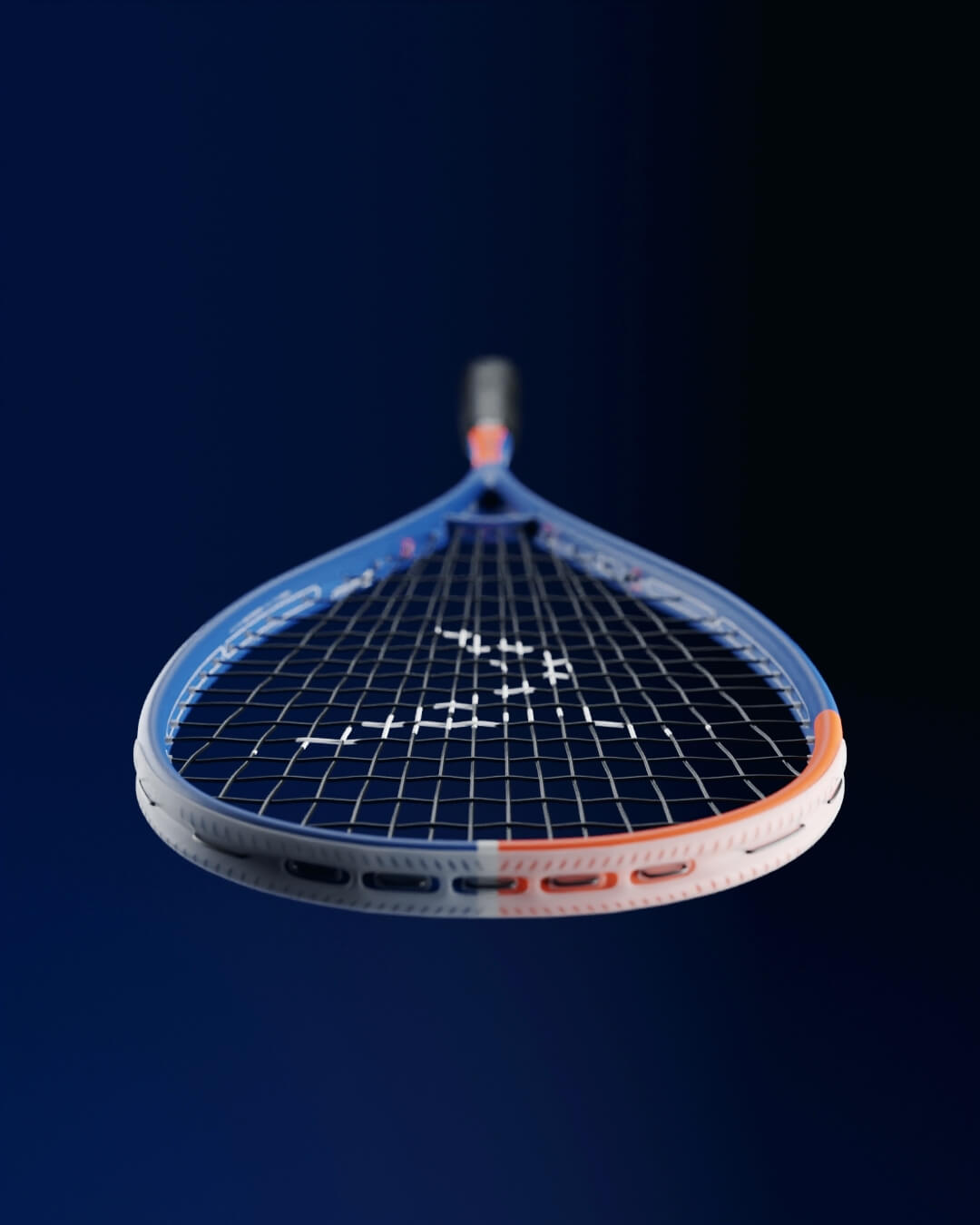 Raquette cgi rendu cgi